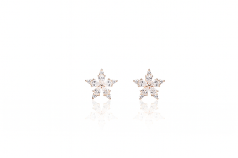 ✨ Starlight Crystal Stud Earrings
